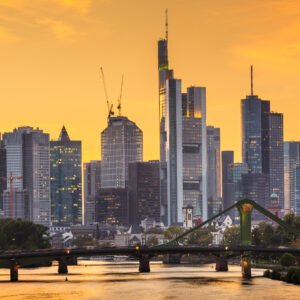 Establishment of business partnerships with German companies